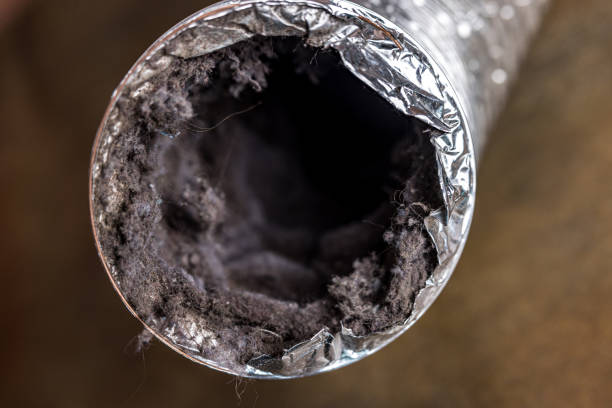 Air Duct Mold Removal in Lewistown, PA